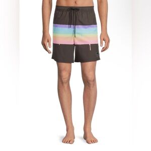 Mens Neff Rainbow Paint Brush Stroke Swim Trunks Size L
